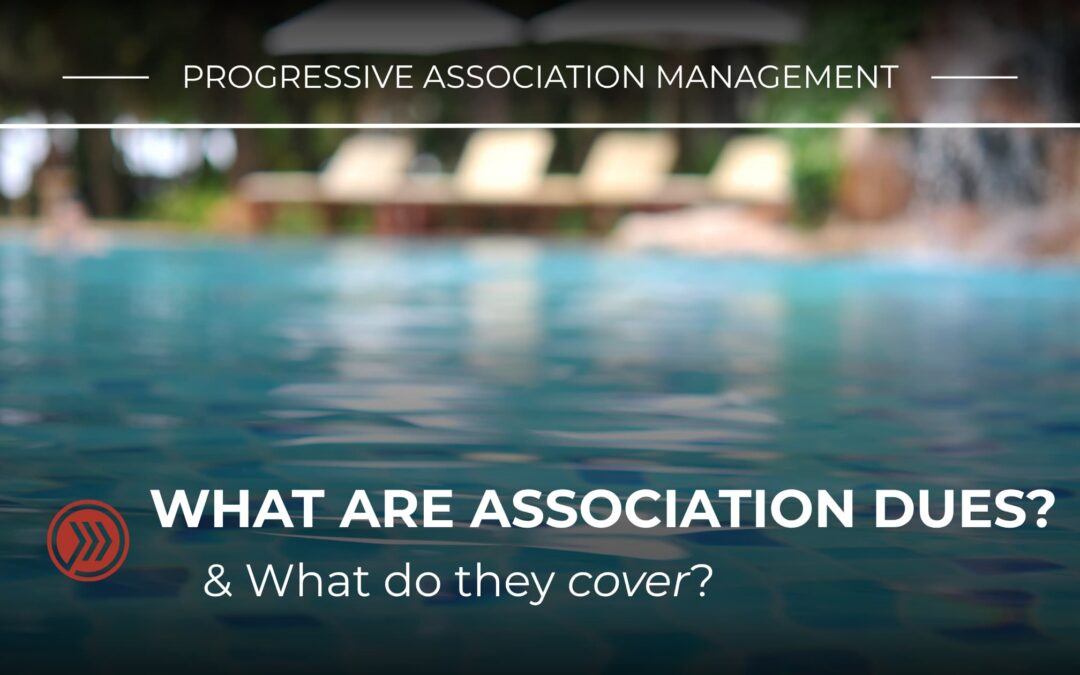 What Are Association Dues and What Do They Cover?
